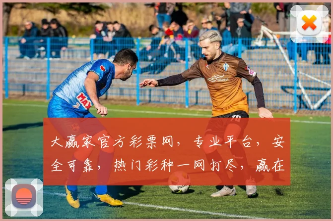 大赢家官方彩票网，专业平台，安全可靠，热门彩种一网打尽，赢在起点，尽享乐趣，三重福利等你来