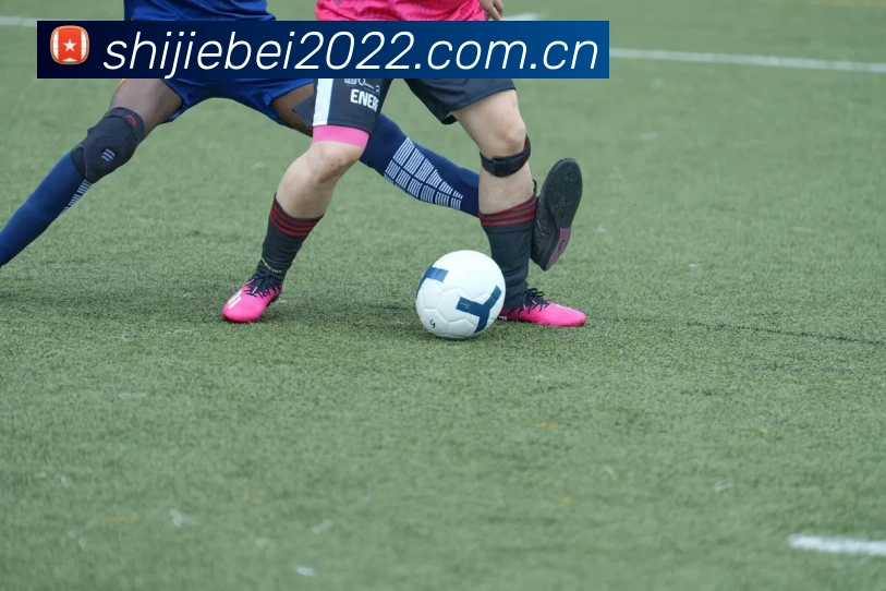 世界杯2022发展历程